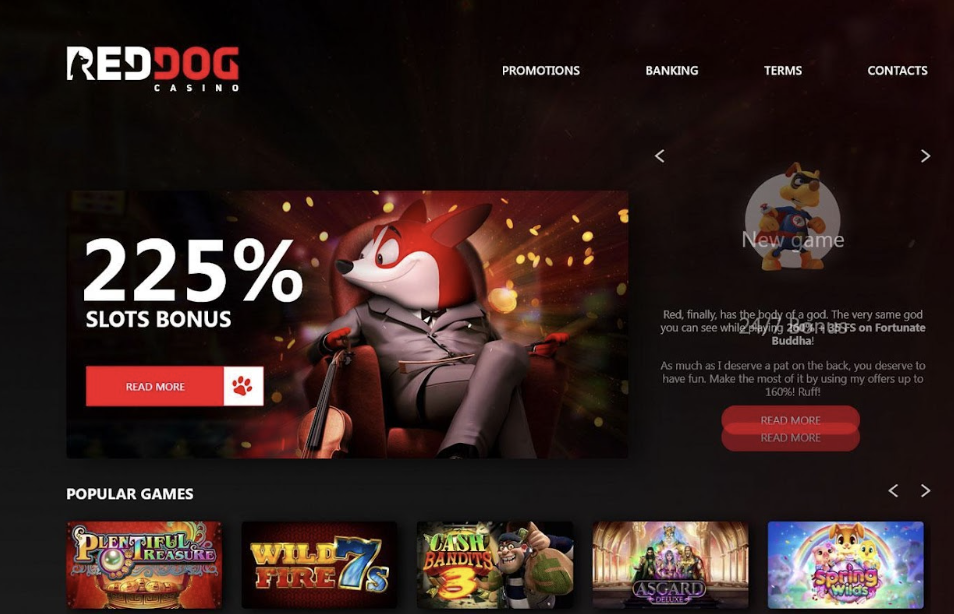 Home page of Reddog casino