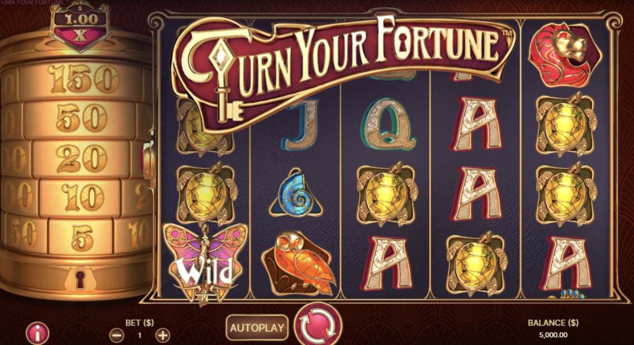 Your Fortune slot image