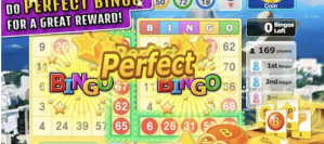 Bingo Craze image